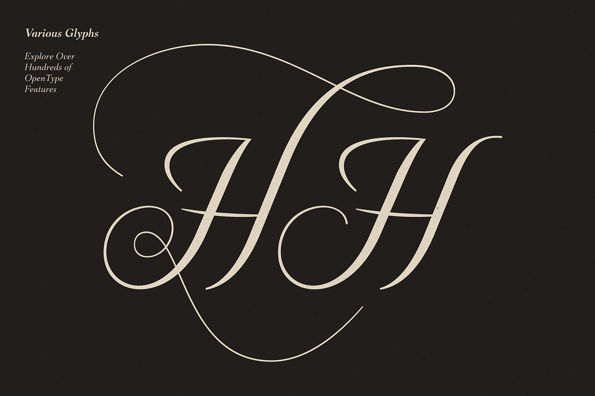 Gold Lines; Elegant Font Duo, a Script Font by Eko Bimantara (Photo 5 of 20)
