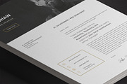 Gemini Resume Template, a Resume Template by Nina Shaw (Thumbnail 8 of 9)