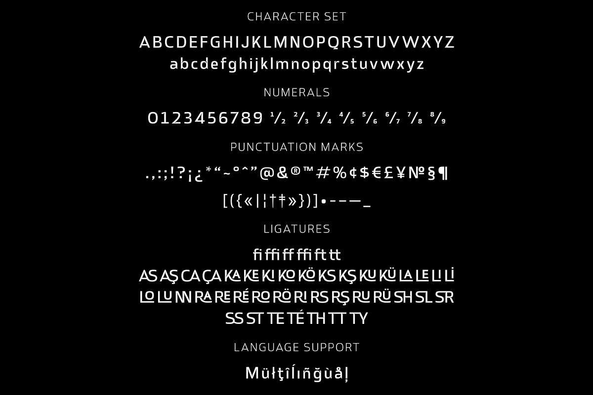Alphabet Express Sans Serif Typeface, a Sans Serif Font by Ayca Atalay (Photo 8 of 8)