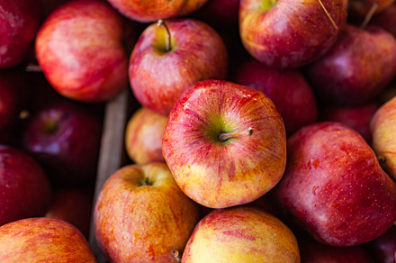 Fall autumn red apple harvest featuring happy, halloween, and fall