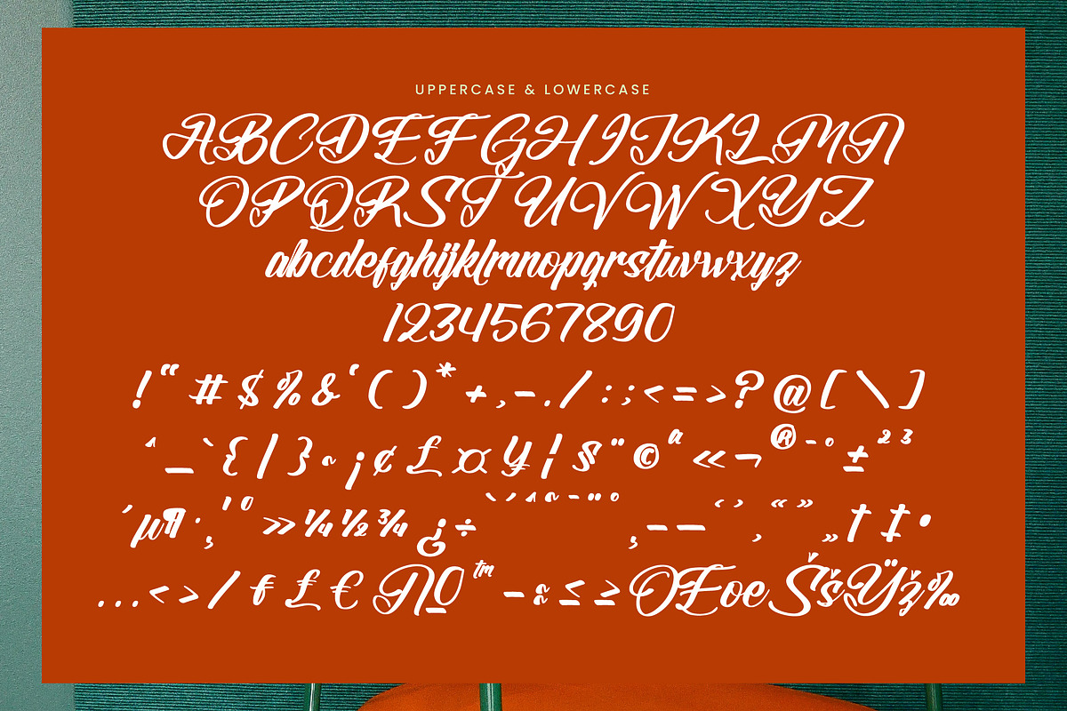 Beautiful Reluxes Modern Elegant, a Handwritten Font by operatype.co (Photo 9 of 10)