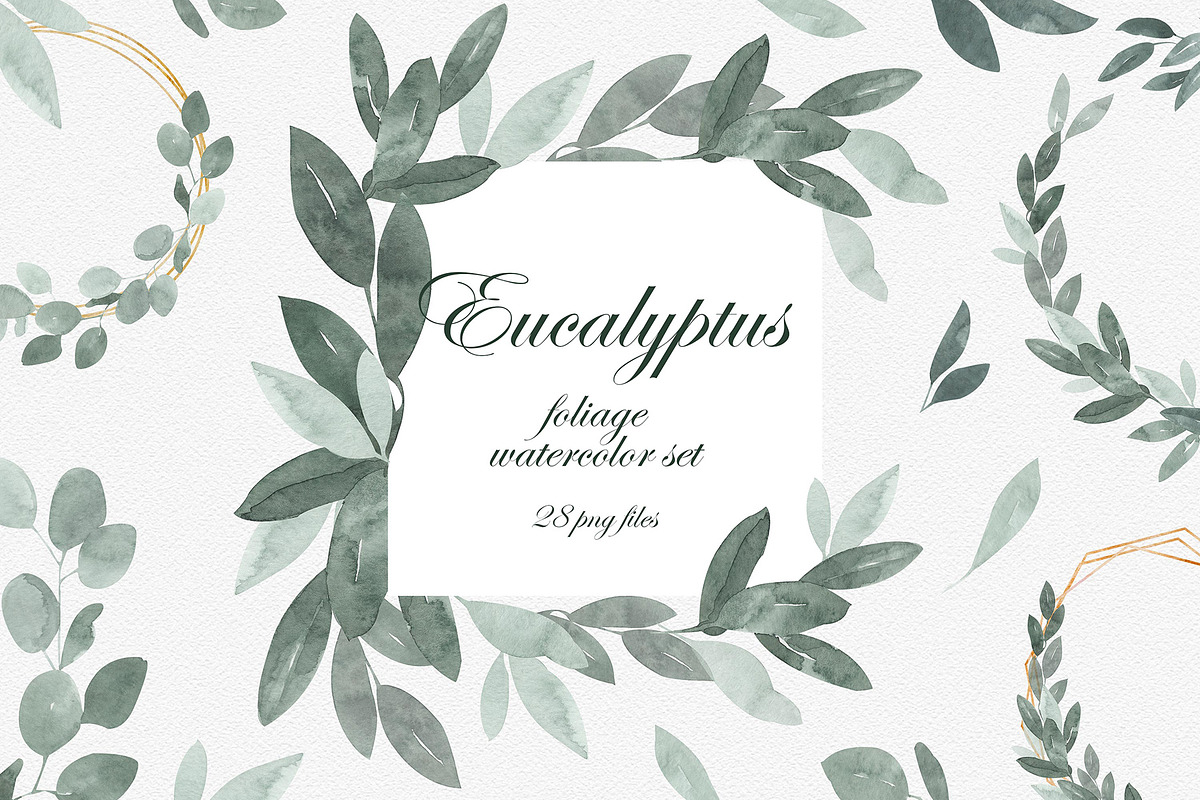 Eucalyptus Foliage Watercolor Set, an Illustration by Catch the Dream Art (Photo 1 of 7)