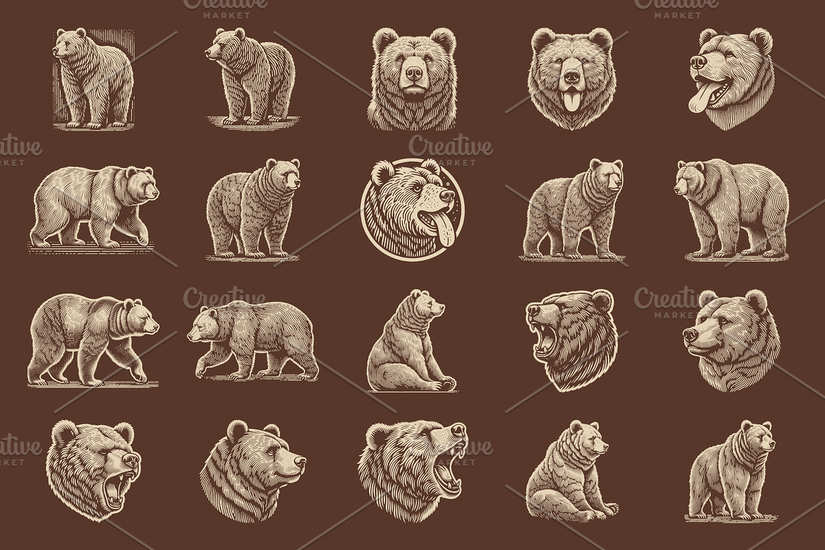 Vintage Hand-Drawn Brown Bear Design, an Animal Illustration by devastd (Photo 4 of 10)