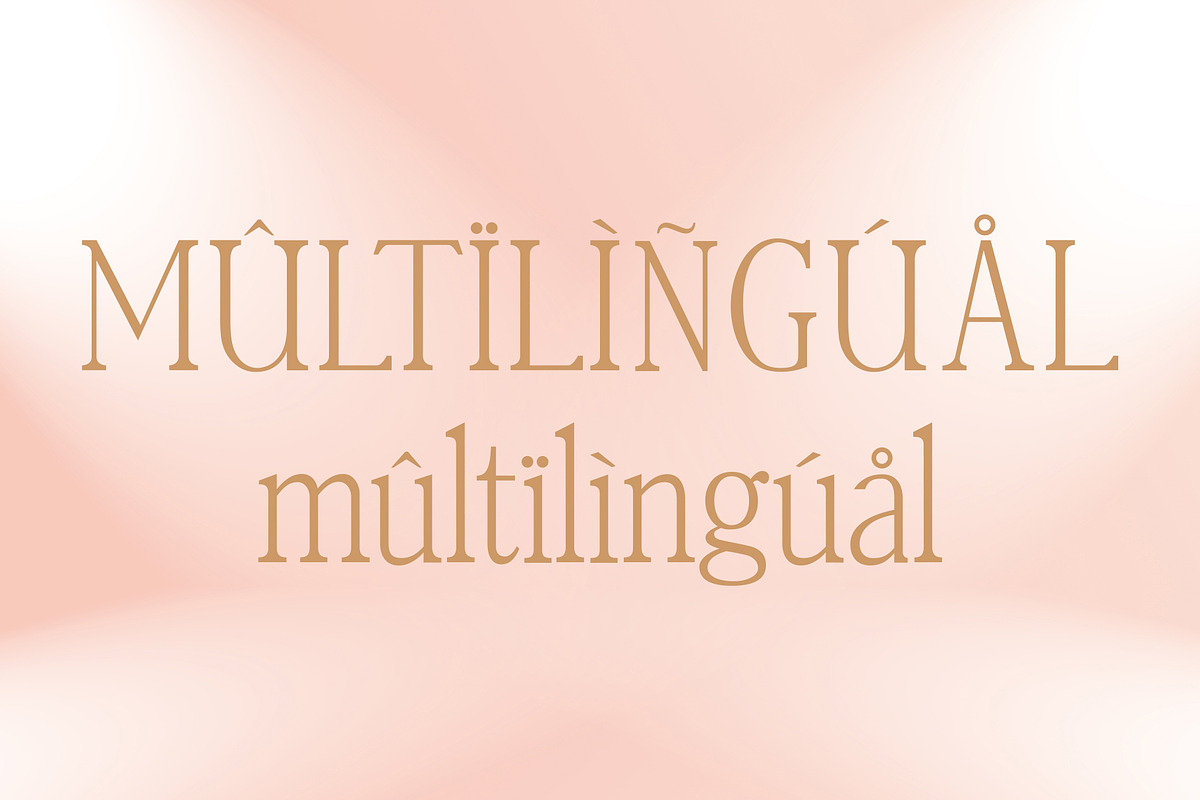 Nebos - Elegant Serif Typeface, a Serif Font by Font Kingdom (Photo 9 of 9)