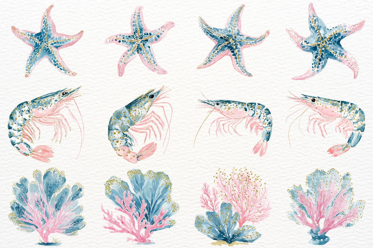 Undersea Ocean Animals PNG Clipart, an Animal Illustration by SugarCloudStudioArt (Photo 6 of 7)