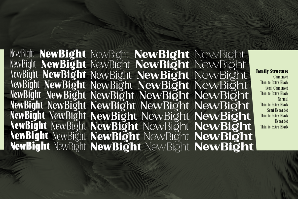 New Bight-Serif Font, a Serif Font by artisans (Photo 5 of 6)