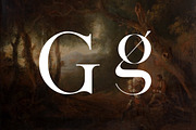 Birgine Modern Serif Font, a Serif Font by UICreative (Thumbnail 3 of 12)