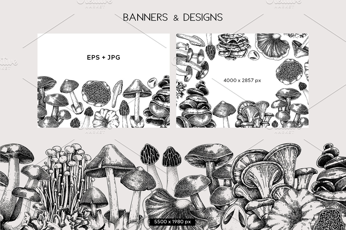 Mushrooms Vector Illustration Set, an Object Illustration by Yevheniia (Photo 10 of 14)