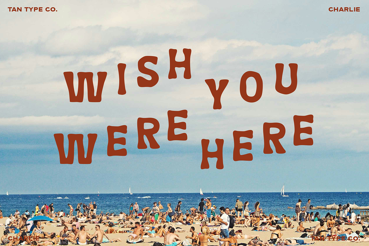 TAN - CHARLIE, a Handwritten Font by TanType (Photo 13 of 14)