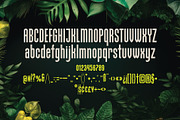 Tropico, a Blackletter Font by VozzyStock (Thumbnail 3 of 8)
