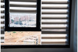 Wide home interior window with zebra
