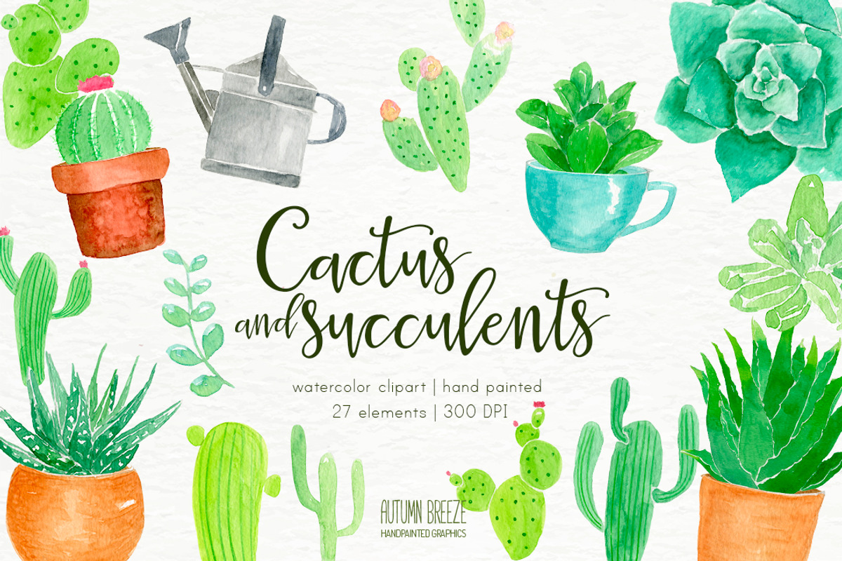 watercolor  CXactus and succulents, a Decorative Illustration by Autumn Breeze (Photo 1 of 3)