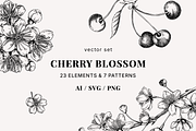 Vintage Cherry Blossom Vector Set, an Object Graphic by Yevheniia (Thumbnail 1 of 9)