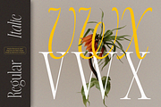 Miojhe, a Serif Font by saemoon creative (Thumbnail 5 of 15)