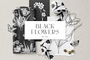 Black Flowers. Vector Set, an Illustration by PatrushevaYana (Thumbnail 1 of 8)