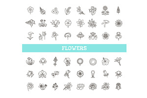 Set Of Floral Icon In Flat Design