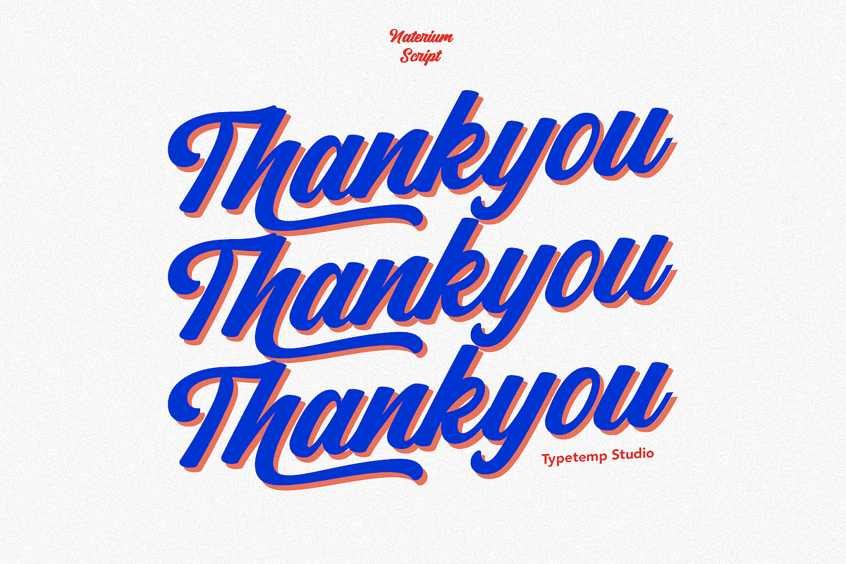 Naterium Retro-Modern Script Font, a Script Font by Typetemp Studio (Photo 16 of 16)