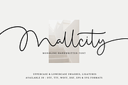 Mallcity - Monoline Script, a Script Font by Sronstudio (Thumbnail 1 of 14)