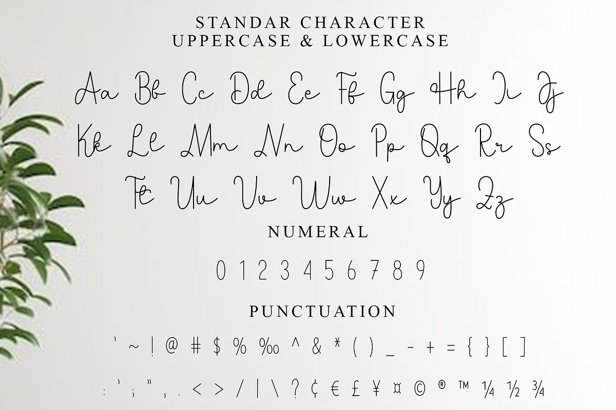 Bestia Signature, a Handwritten Font by InermediaSTUDIO (Photo 5 of 8)