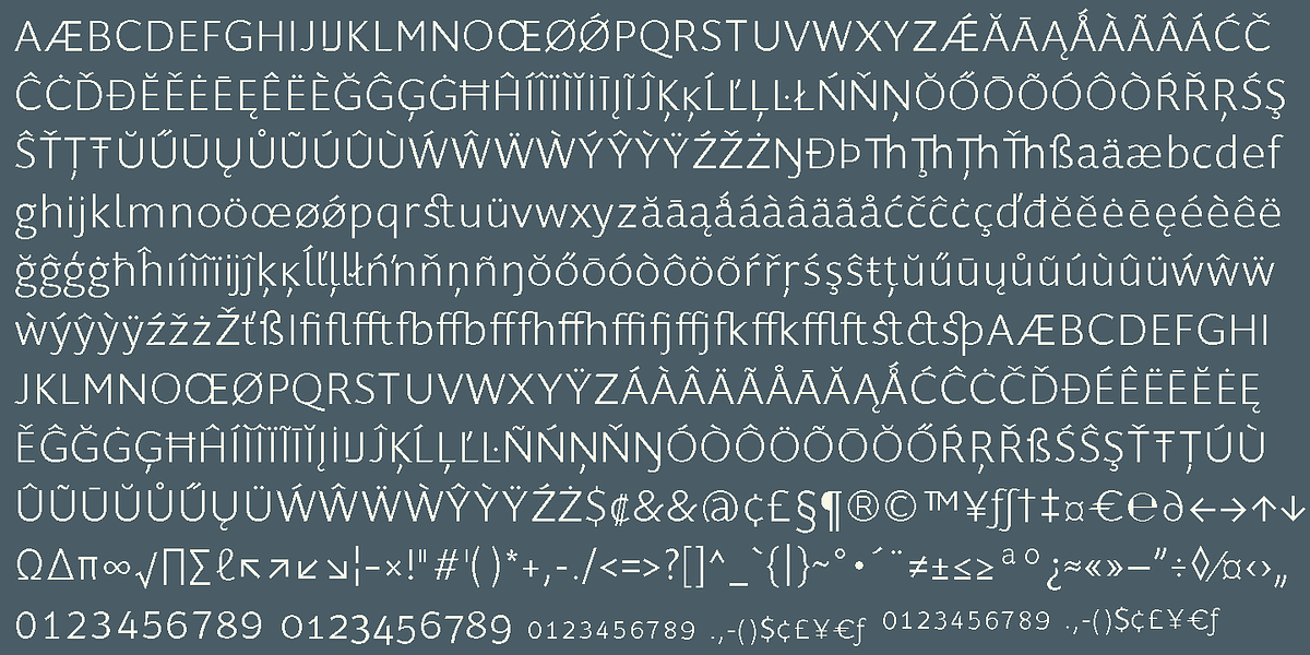 Supra Classic, a Sans Serif Font by Wiescher-Design (Photo 9 of 9)