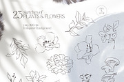 FOREST SONG birds sketches, an Animal Illustration by Yuliia Lashevska (Thumbnail 10 of 15)