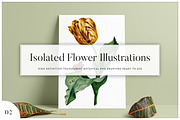 5x Isolated Flower Illustration (02), an Object Graphic by Europe.graphics (Thumbnail 1 of 7)