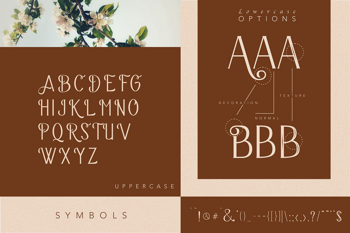 The Bravery, a Serif Font by Pollux of Geminorum (Photo 4 of 12)