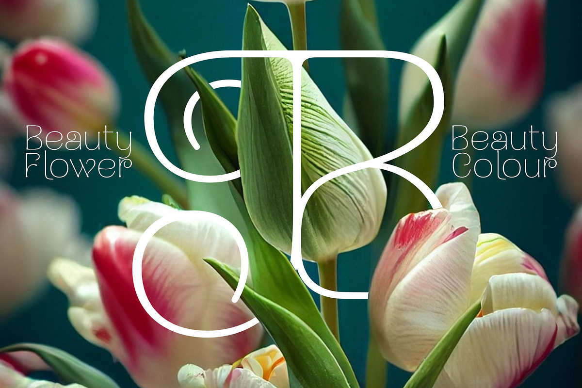 Naylira Modern Beauty Serif Font, a Font by AuthenType (Photo 4 of 14)