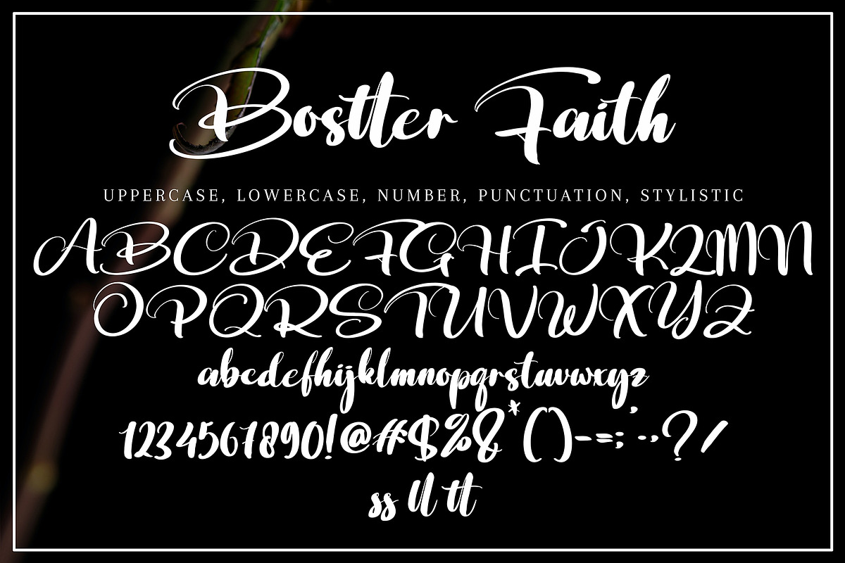 Bostter Faith, a Script Font by pineungtype (Photo 9 of 9)