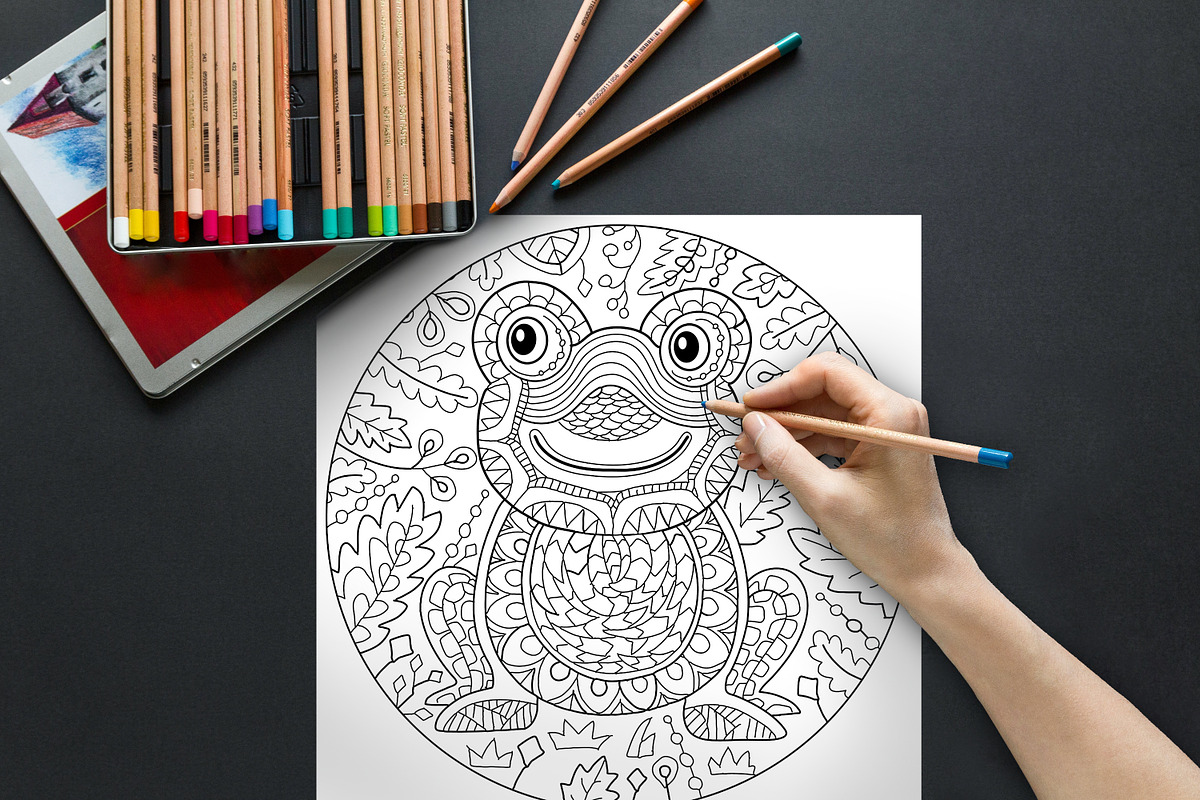 10 Circle Coloring Pages | Nature, an Animal Illustration by ChristinaDesigns (Photo 6 of 7)