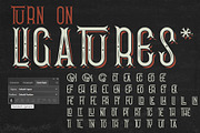 Suicide circus font + bonus designs, a Font by Heather_insane (Thumbnail 3 of 8)