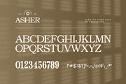 Asher Elegant Serif Font Typeface, a Serif Font by Perfectype (Thumbnail 10 of 10)