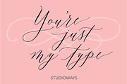 Lady Slippers, a Script Font by STUDIOWAYS (Thumbnail 4 of 11)