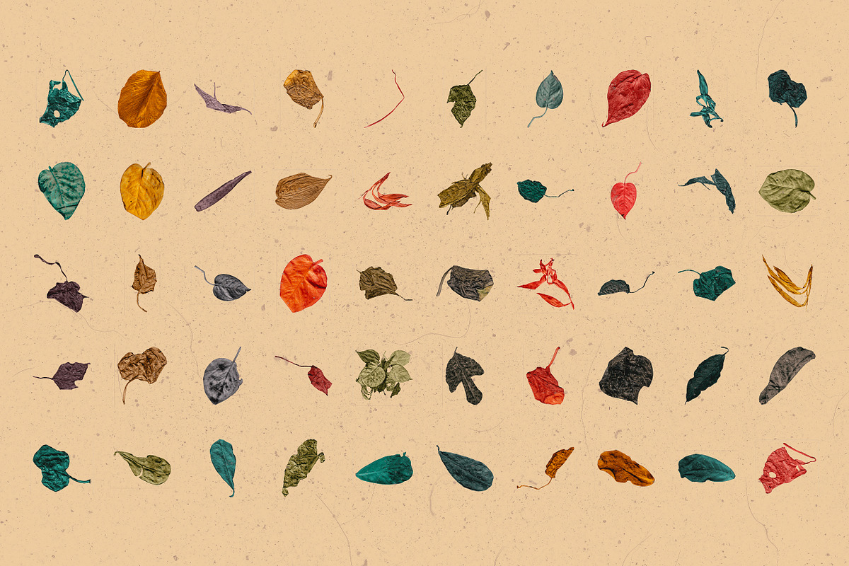 Broken Leaves 200 Transparent Object, an Object Graphic by nicholasasmita (Photo 4 of 15)