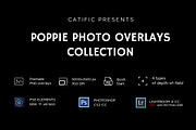 17 Poppie Flowers Photo Overlays, an Action Add-On by PhotoEffects.Store (Thumbnail 7 of 9)