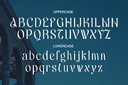 Elacontry - Modern Elegant Luxury, a Serif Font by Qweera Studio (Thumbnail 11 of 12)