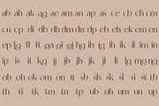 Bibalgoski V2 | Vintage Serif Type, a Serif Font by MchCrafter (Thumbnail 13 of 15)