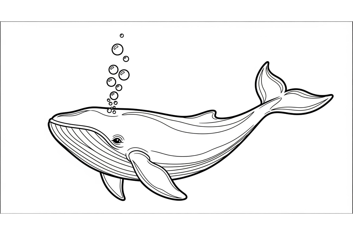 Whale Line Art Vector Bundle, an Illustration by yasushie (Photo 15 of 51)