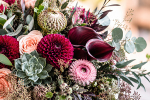 Vibrant vase of flowers, a Photo by Beautiful things