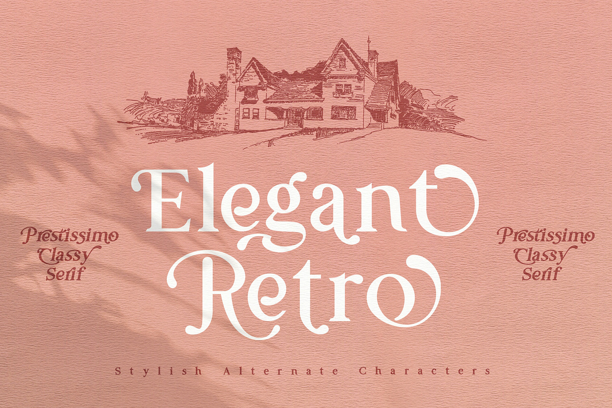 Prestissimo Classy (20% 0FF), a Script Font by Burntilldead (Photo 6 of 23)