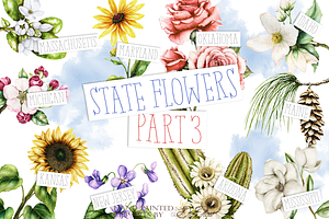 US State Flowers Part 3 Illustration