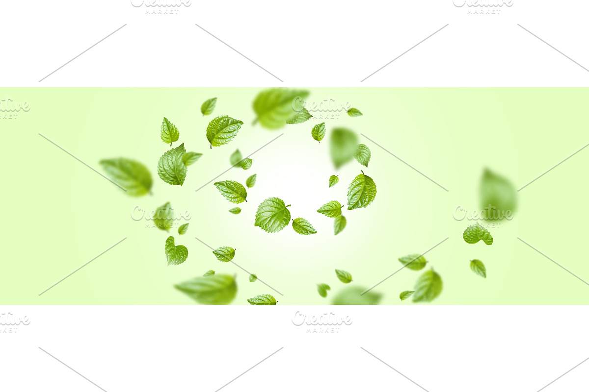 Fresh green mint leaves swirl, an Object Illustration by art PVP - market