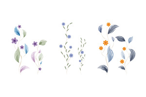 Watercolor botanical illustrations, an Illustration by okskukuruza