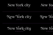 Gabriela, a Serif Font by Lechuga Type (Thumbnail 9 of 17)