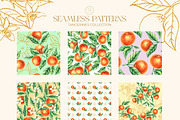 Tangerines Watercolor collection, a Decorative Illustration by SashaKondr (Thumbnail 11 of 14)