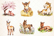 Whimsical Baby Horse clipart, an Illustration by DreamCafeArt (Thumbnail 3 of 5)