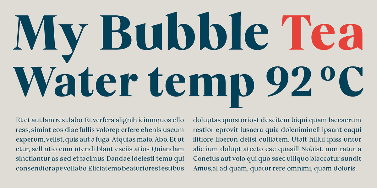 Vivala Marbod, a Serif Font by VivalaType (Photo 4 of 13)