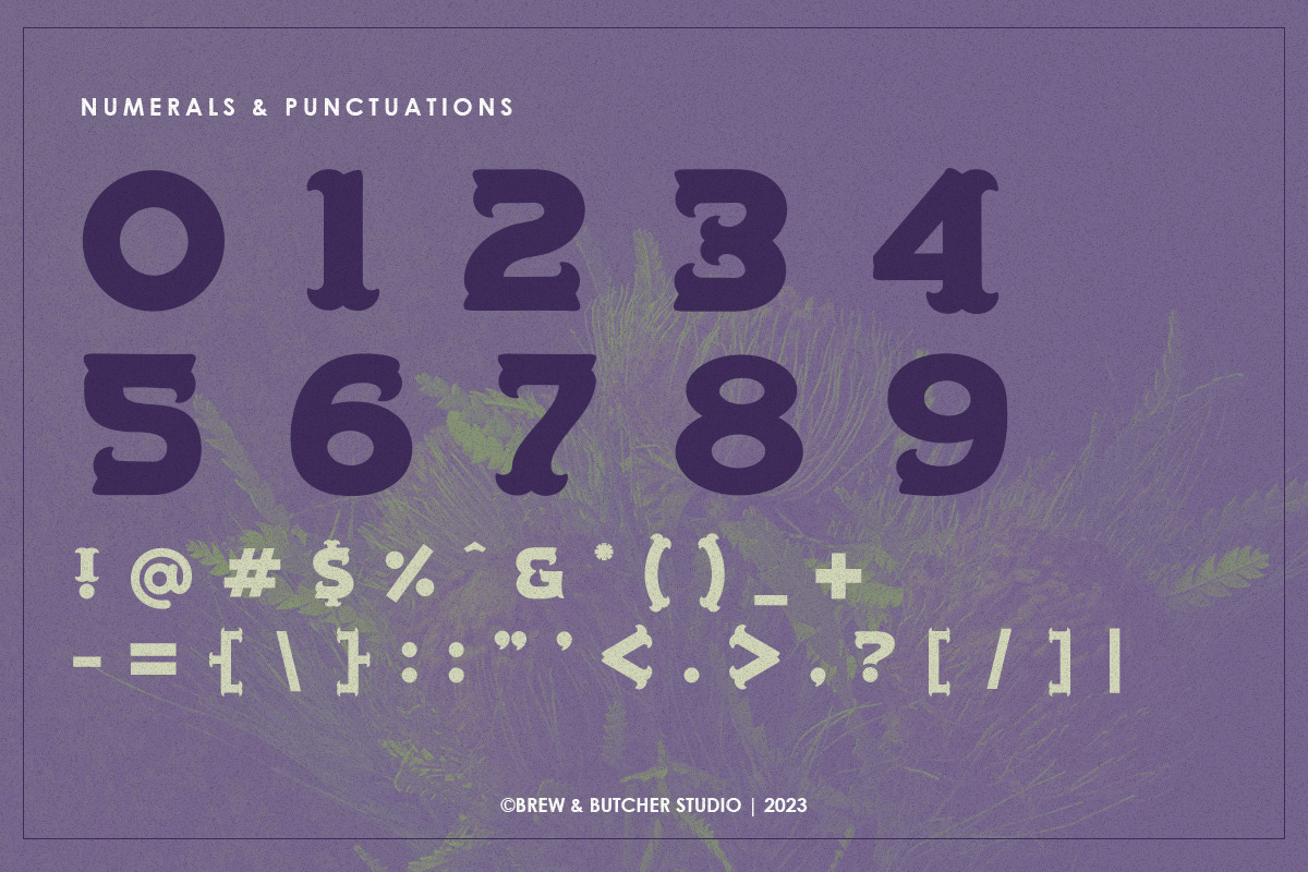 Demova | Display Typeface, a Serif Font by Brew & Butcher Studio (Photo 3 of 9)