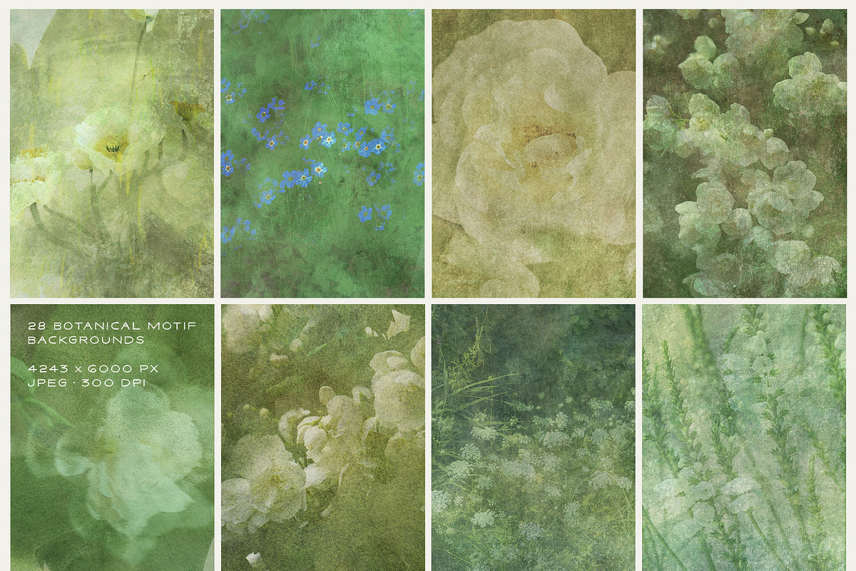 Veine Verte Botanical Backgrounds, a Background Graphic by alonahaidash (Photo 11 of 20)