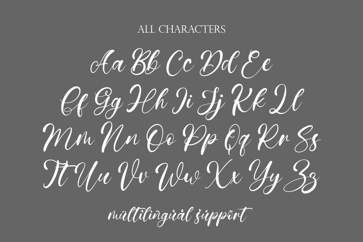 Nebula Script - A Modern Script, a Script Font by Universitype (Photo 8 of 11)
